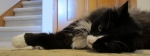IMG_7841-fbcover.jpg