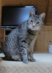 sparky-IMG_4370.JPG