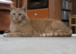 fred-IMG_4376.JPG