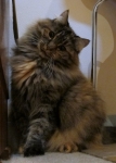 buddie-IMG_8945.JPG