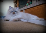 Mazy-IMAG0903.jpg