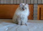 Mazy-IMAG0890b.jpg