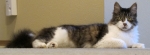 finn-IMG_9128-fbcover.jpg