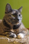 IMG_1902-edited.jpg