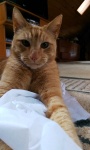 IMAG0980-edited.jpg