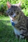 bob-IMG_2020-edited.jpg