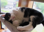 hugo-IMG_5496-edited.jpg