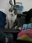 HemmieIMG_5840.JPG