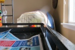 kiwi-IMG_8231.JPG