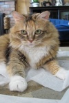lolo-IMG_82003.JPG