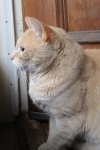 Double click to start/stop slideshow running IMG_8609.JPG