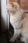 Double click to start/stop slideshow running IMG_8610.JPG