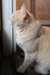 Double click to start/stop slideshow running IMG_8611.JPG
