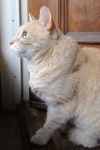 Double click to start/stop slideshow running IMG_8612.JPG