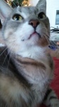 Wesley20201227_110612.jpg