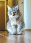 thelma-IMG_6290.JPG