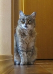 thelma-IMG_6309.JPG