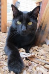 Double click to start/stop slideshow running IMG_0980.JPG
