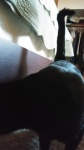 olive-20211017_154443.jpg