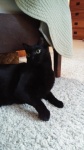 olive-20211017_160518.jpg
